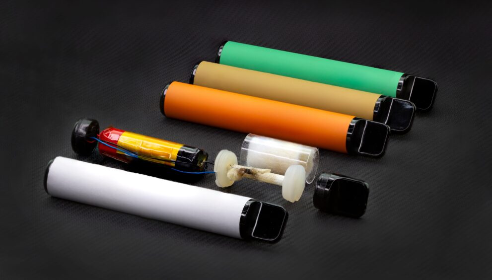 disposable smoking device