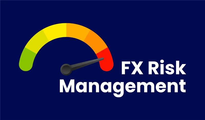fx risk management