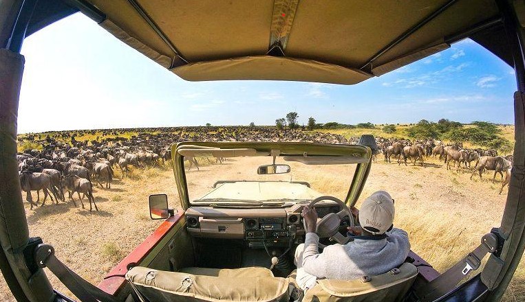 driver drive the car into the desert